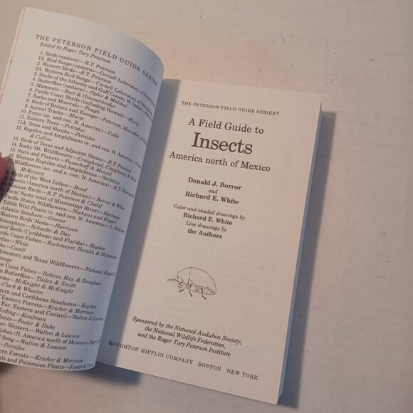1970 A Peterson Field Guide To Insects: America North of Mexico Book 1970 - Picture 7 of 7